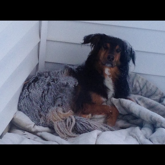 Meet your Posher, Julie - Picture 1 of 1